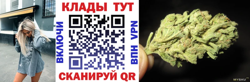COCAIN Козьмодемьянск