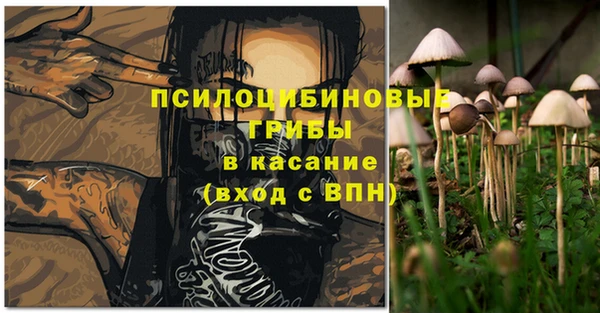 соль курить ск Арсеньев