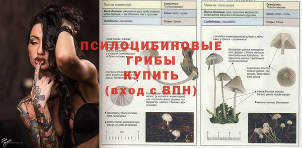 мяу мяу кристалл Армянск