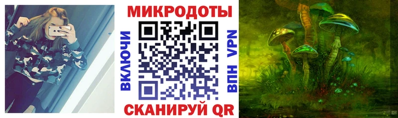 купить  сайты  Козьмодемьянск  мориарти клад  Галлюциногенные грибы Psilocybe  KRAKEN ссылка 
